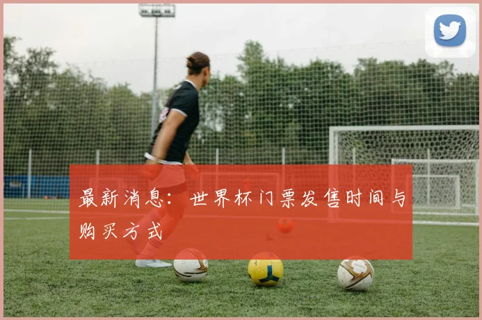 最新消息：世界杯门票发售时间与购买方式