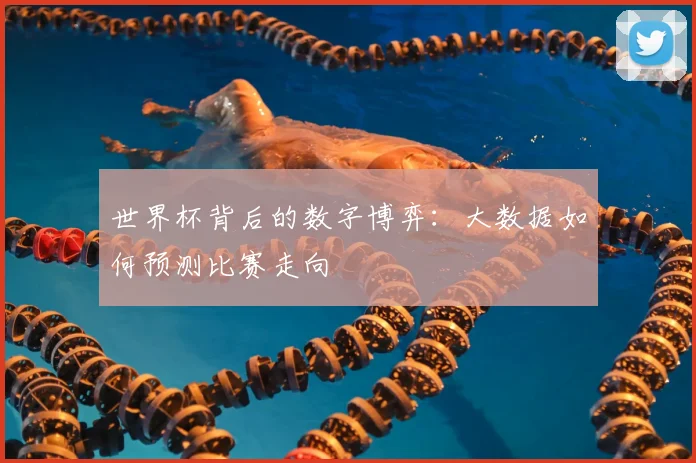 世界杯背后的数字博弈：大数据如何预测比赛走向