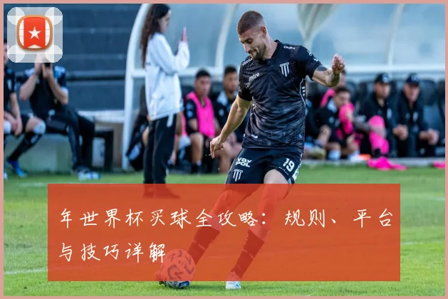 年世界杯买球全攻略：规则、平台与技巧详解