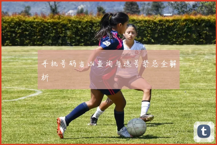 手机号码吉凶查询与选号禁忌全解析