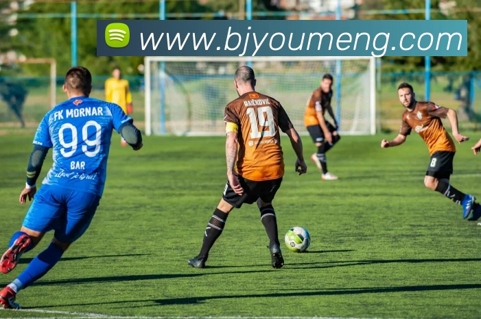 开云手机入口官方网站APP 体育赛事宣传图